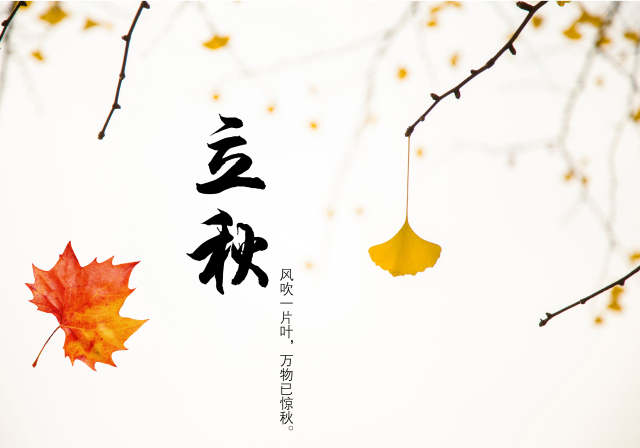 一叶梧桐一叶秋，稻花香里说丰年——24节气之立秋                             常州装修找荣兴装饰